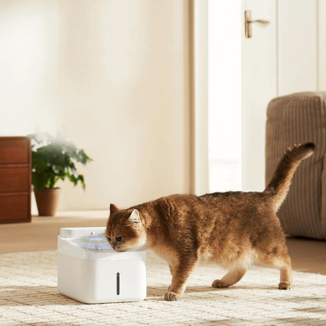Xiaomi Smart Pet Fountain 2 White