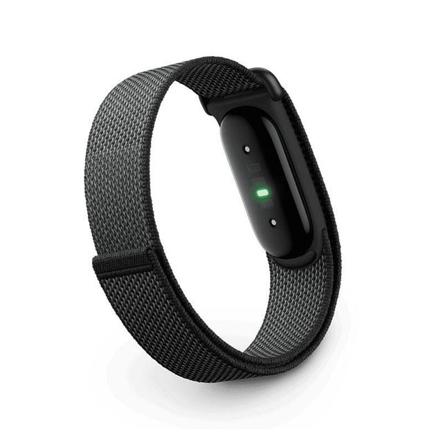 Google Fitbit Air Obsidian
