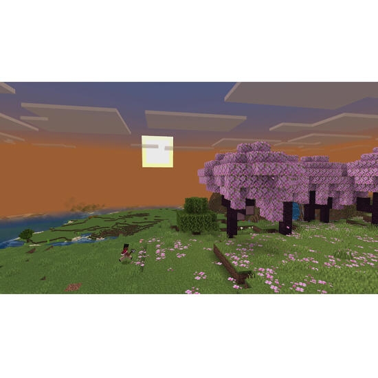 Minecraft Game for Sony PS5
