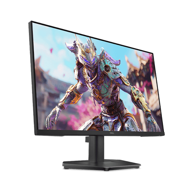 Dell 24 Monitor SE2426HG 210-BTTF Black