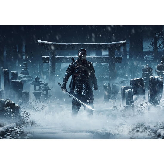Sony PS4 Game Ghost of Tsushima Director’s Cut