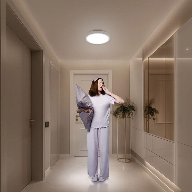 Xiaomi Smart Ceiling Light D20 White
