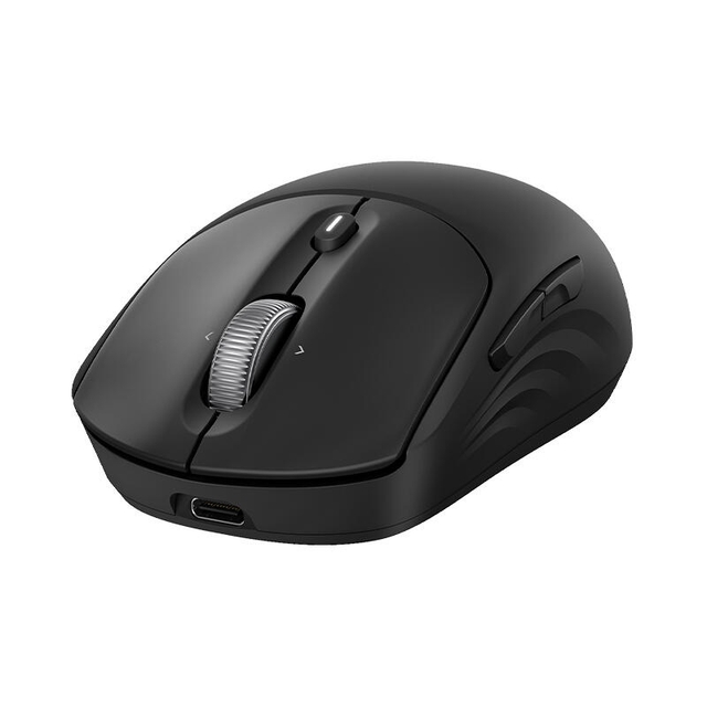 HP Wireless Mouse Rechargeable 700 AZ7B0AA Black