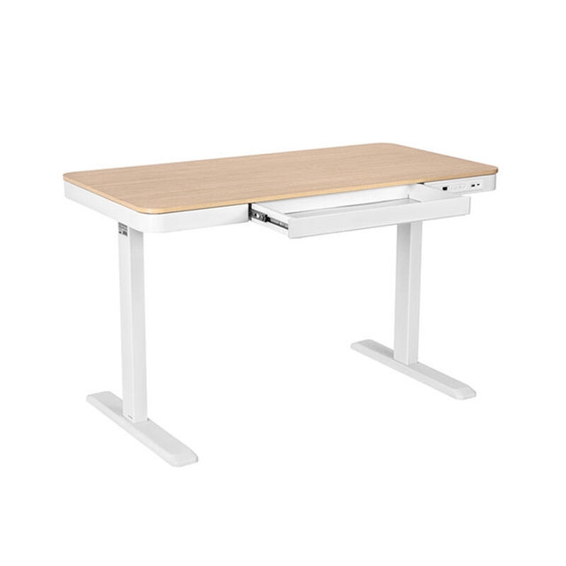 2E Motorized Height Adjustment Table CE218D Beige