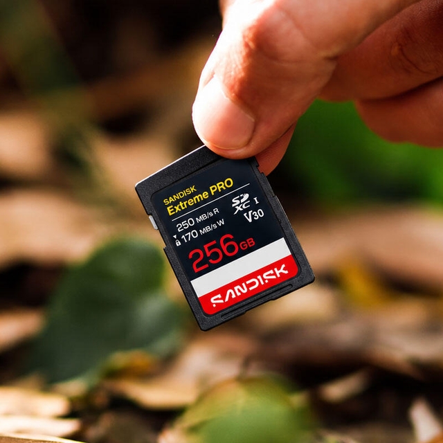 SanDisk 256GB Extreme PRO SD/XC UHS-I Card 250MB/S V30/4K Class 10 SDSDXXJ-256G-GSCIN