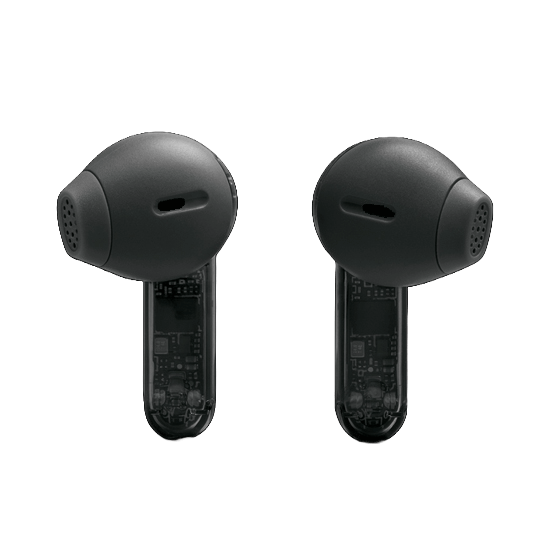 JBL Tune Flex 2 Ghost Black