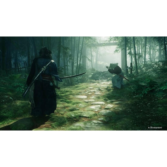 Rise of Ronin for PS5