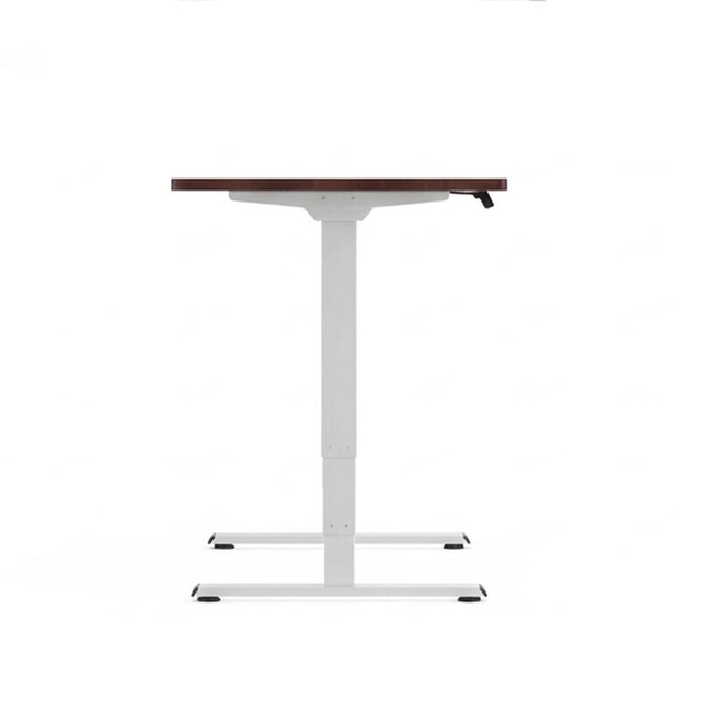 Flexispot Dual-Motor Desk E5 lite Mahogany