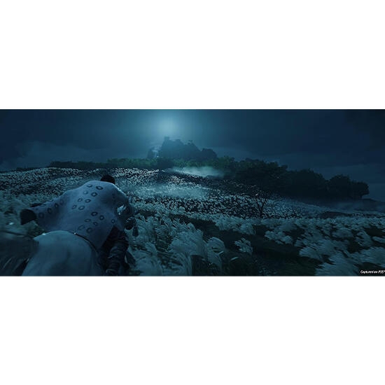 Ghost of Tsushima Director’s Cut Game for PS5