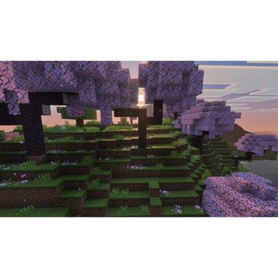 Minecraft Game for Sony PS5