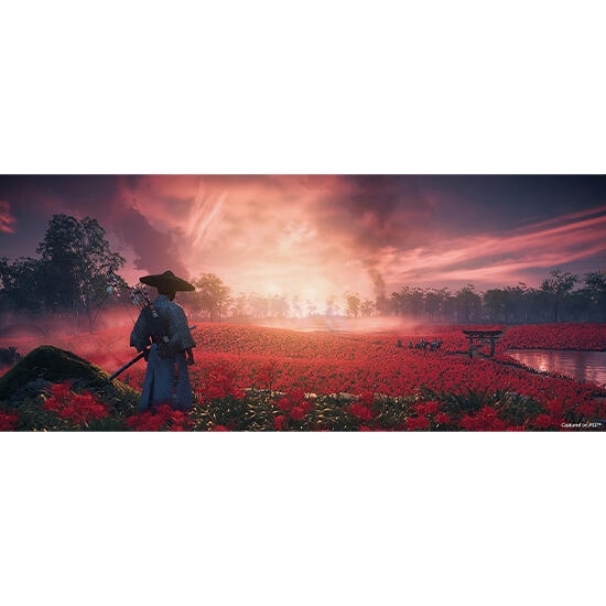 Ghost of Tsushima Director’s Cut Game for PS5