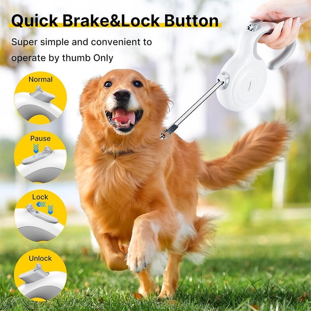 Petsuper Retractable Leash PL03 White