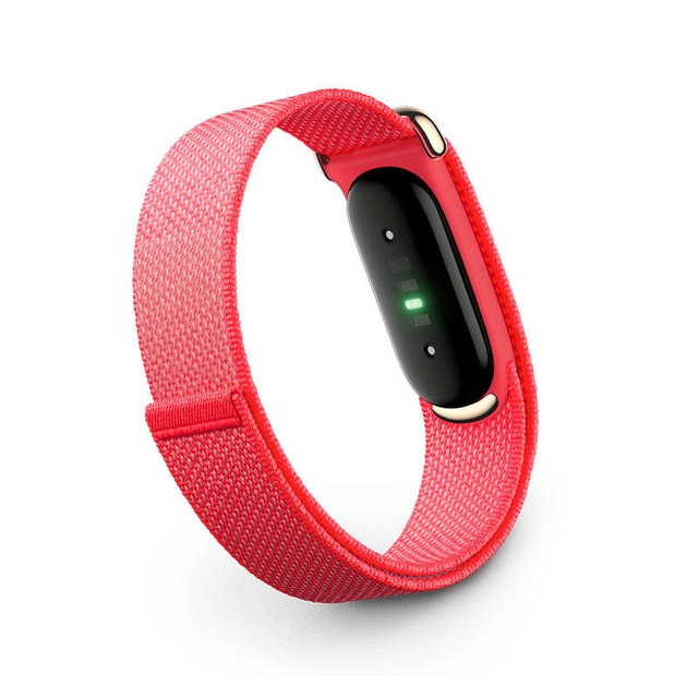 Google Fitbit Air Berry