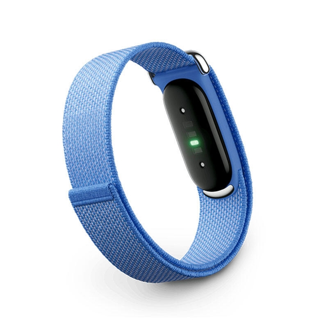 Google Fitbit Air Lavender