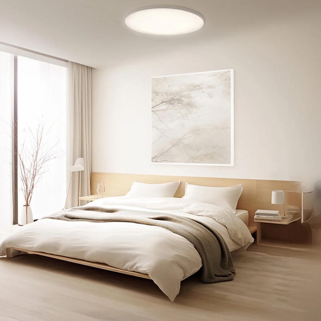 Xiaomi Smart Ceiling Light D30 White