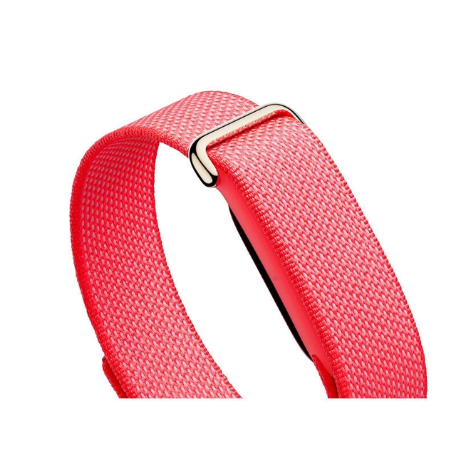 Google Fitbit Air Berry