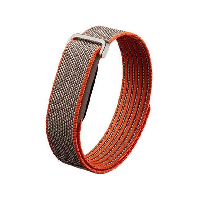 Google Fitbit Air Stephen Curry Edition Rye