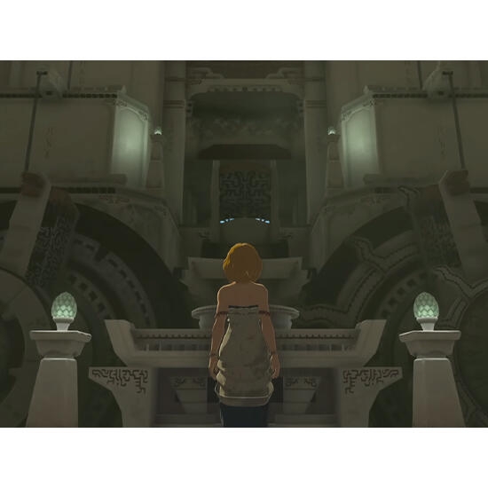 Nintendo Switch 2 Game Legend of Zelda Tears of the Kingdom