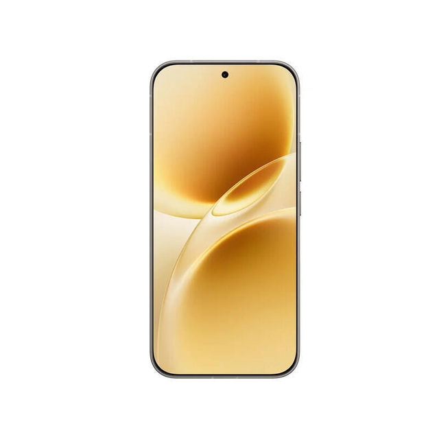 Vivo V70 5G 12/256GB Grey