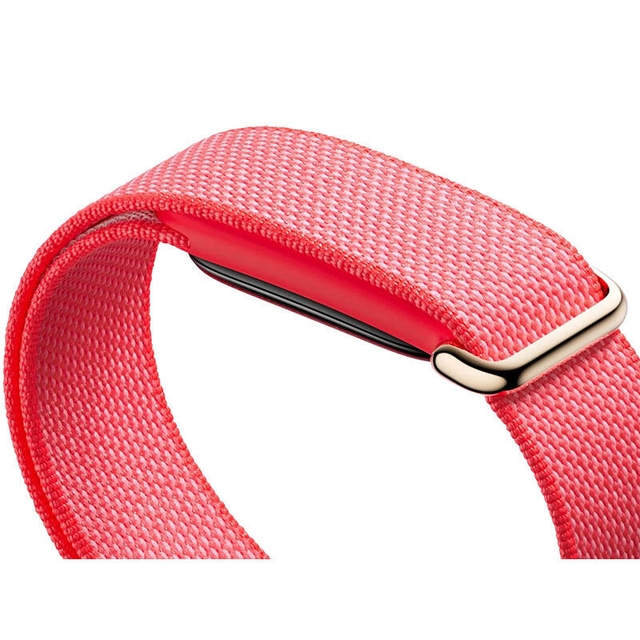 Google Fitbit Air Berry