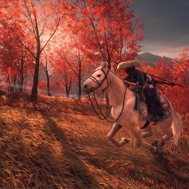 Ghost of Yotei Game For PS5