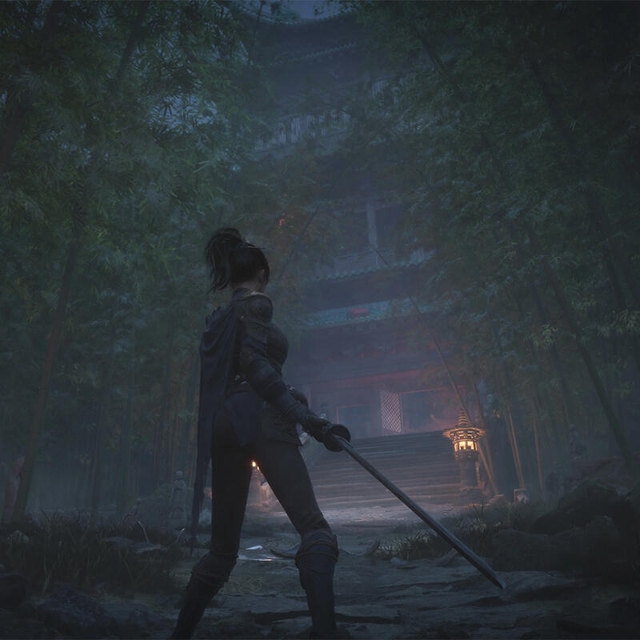 Sony PS5 Game Wuchang: Fallen Feathers