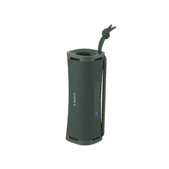 Sony ULT FIELD 1 Wireless Portable Speaker Grey