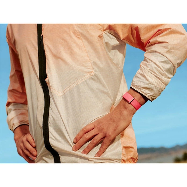 Google Fitbit Air Berry