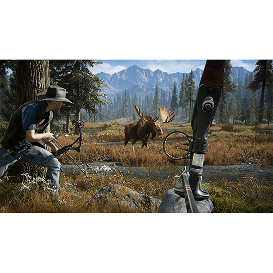Far Cry 5 Game for PS4