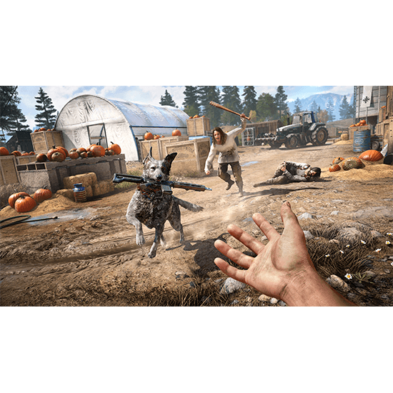 Far Cry 5 Game for PS4