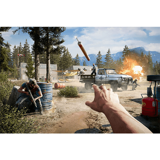 Far Cry 5 Game for PS4