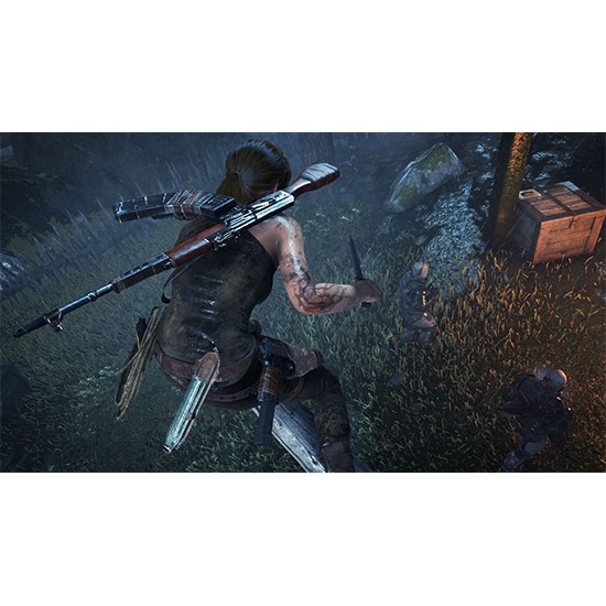 Rise Of The Tomb Raider for PS4