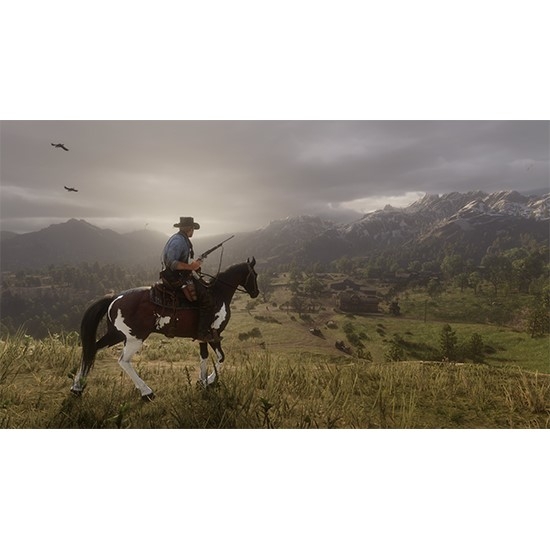 Red Dead Redemption 2 for PS4