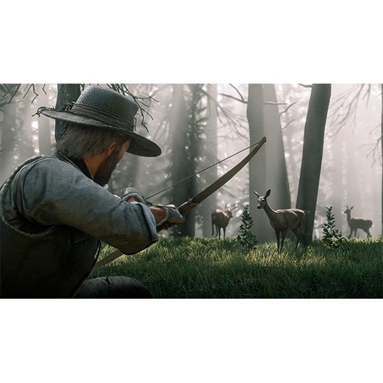 Red Dead Redemption 2 for XBOX