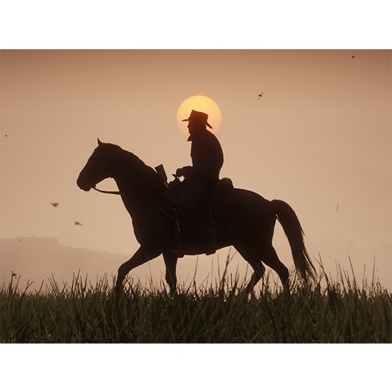 Red Dead Redemption 2 for XBOX