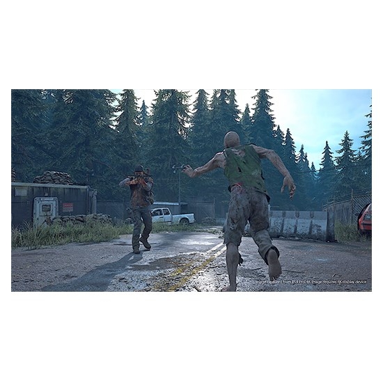 Days Gone for PS4