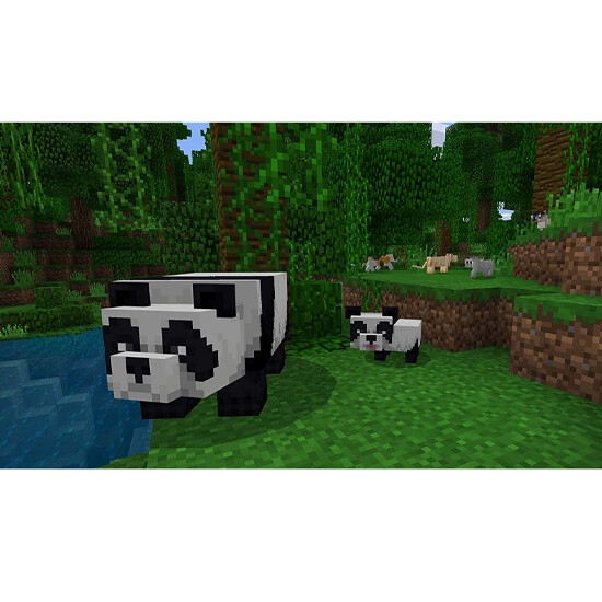 Minecraft Game for PS4