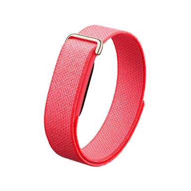 Google Fitbit Air Berry