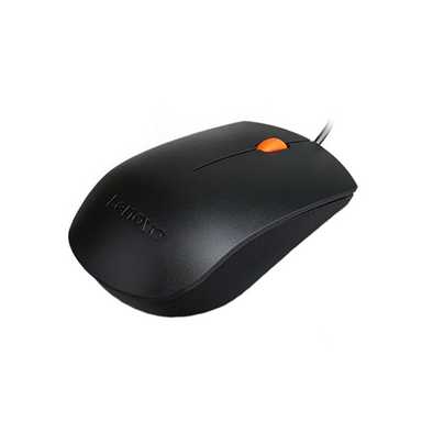 Lenovo 300 USB Mouse