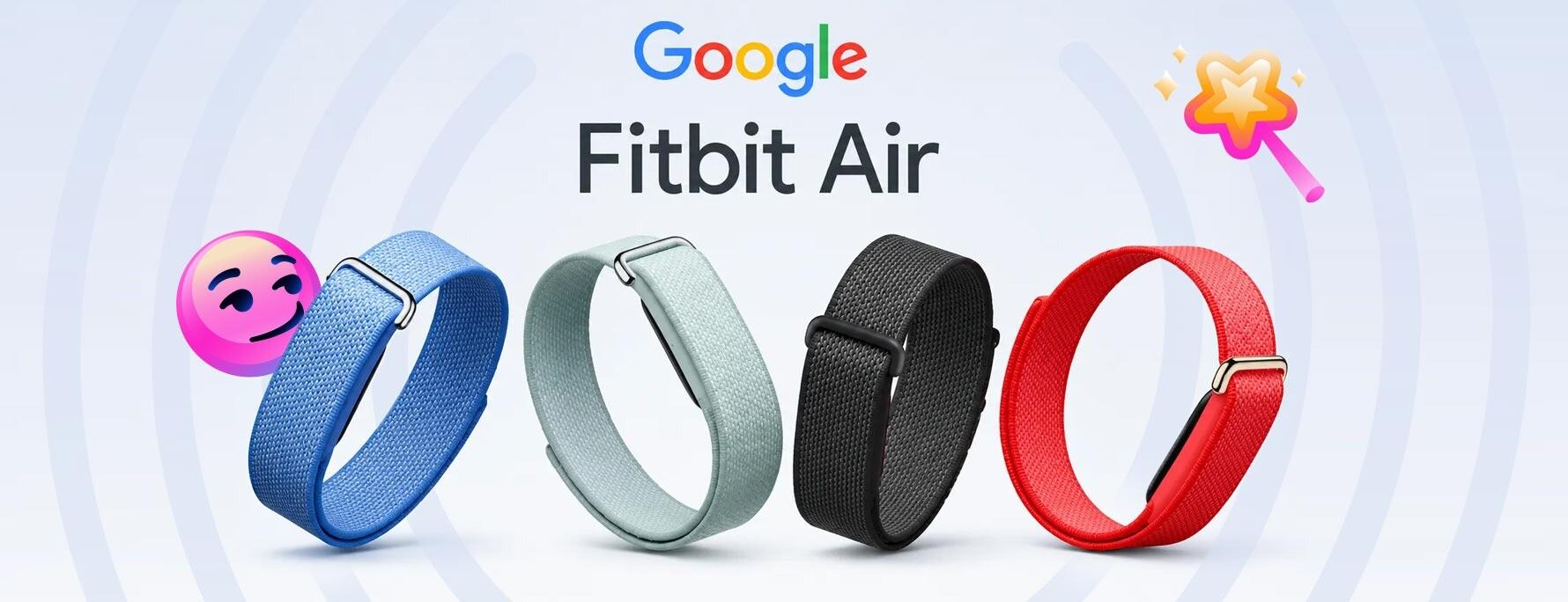 Google Fitbit Air
